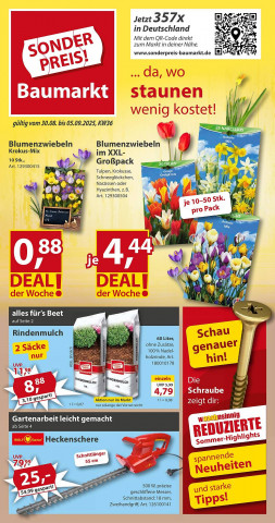 Sonderpreis Baumarkt Prospekt