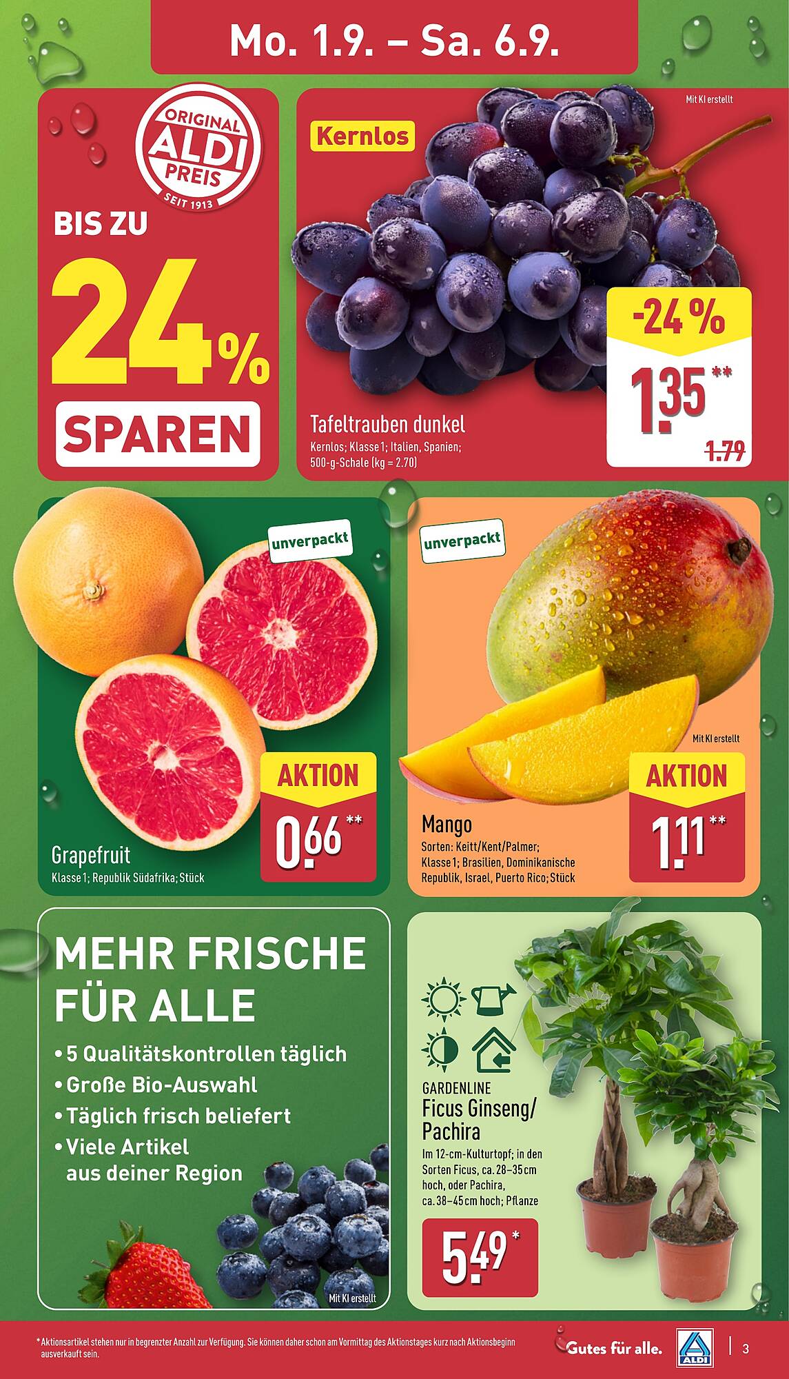 Aldi Nord Prospekt - Pagina 3