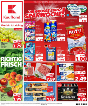 Kaufland Prospekt