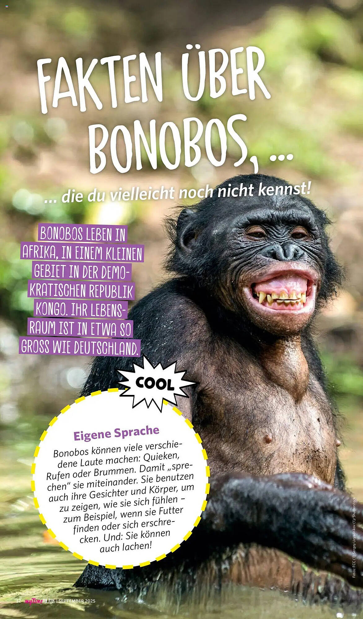 Combi Prospekt - Pagina 108