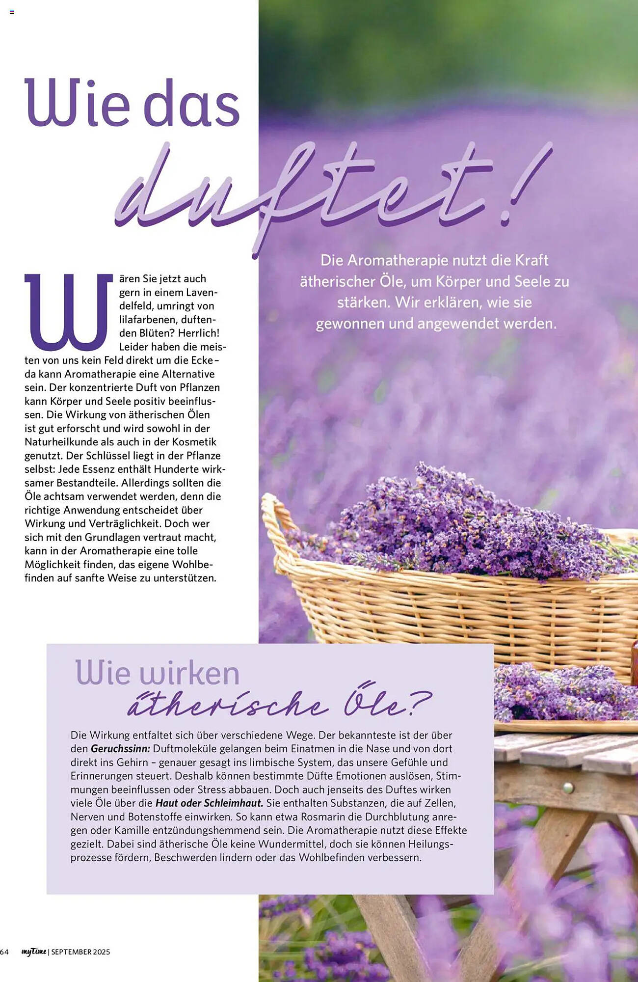 Combi Prospekt - Pagina 64