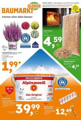 Globus Baumarkt Prospekt