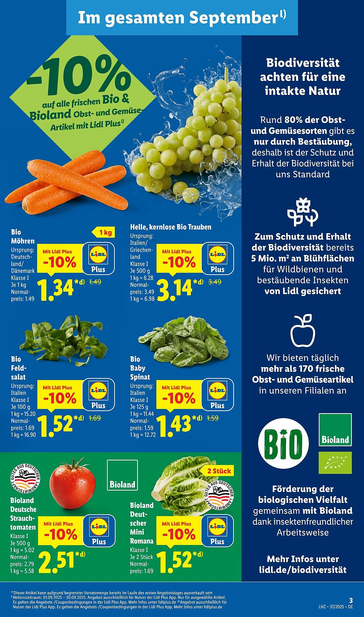 Lidl Prospekt - Pagina 3