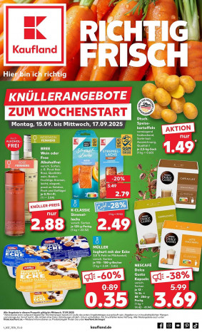 Kaufland Prospekt