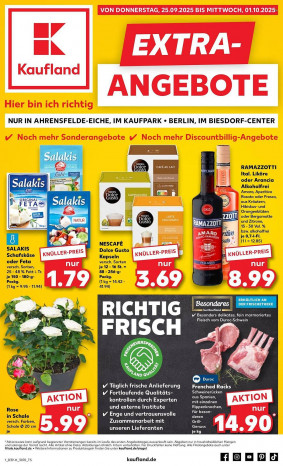 Kaufland Prospekt