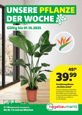 Hagebau Prospekt