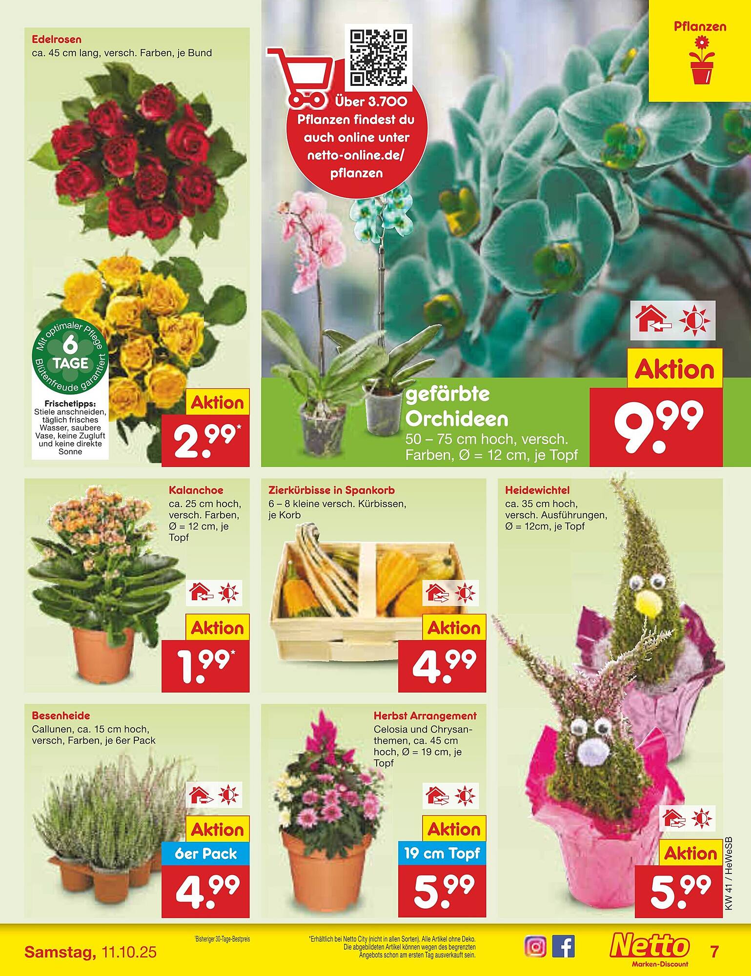 Netto Marken-Discount Prospekt - Pagina 7