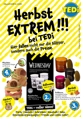 TEDi Prospekt