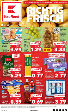 Kaufland Prospekt