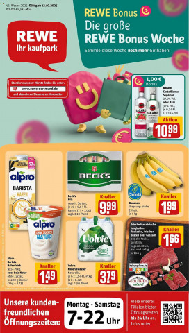 REWE Kaufpark Prospekt