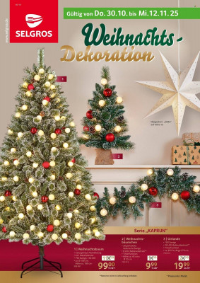 Selgros Prospekt