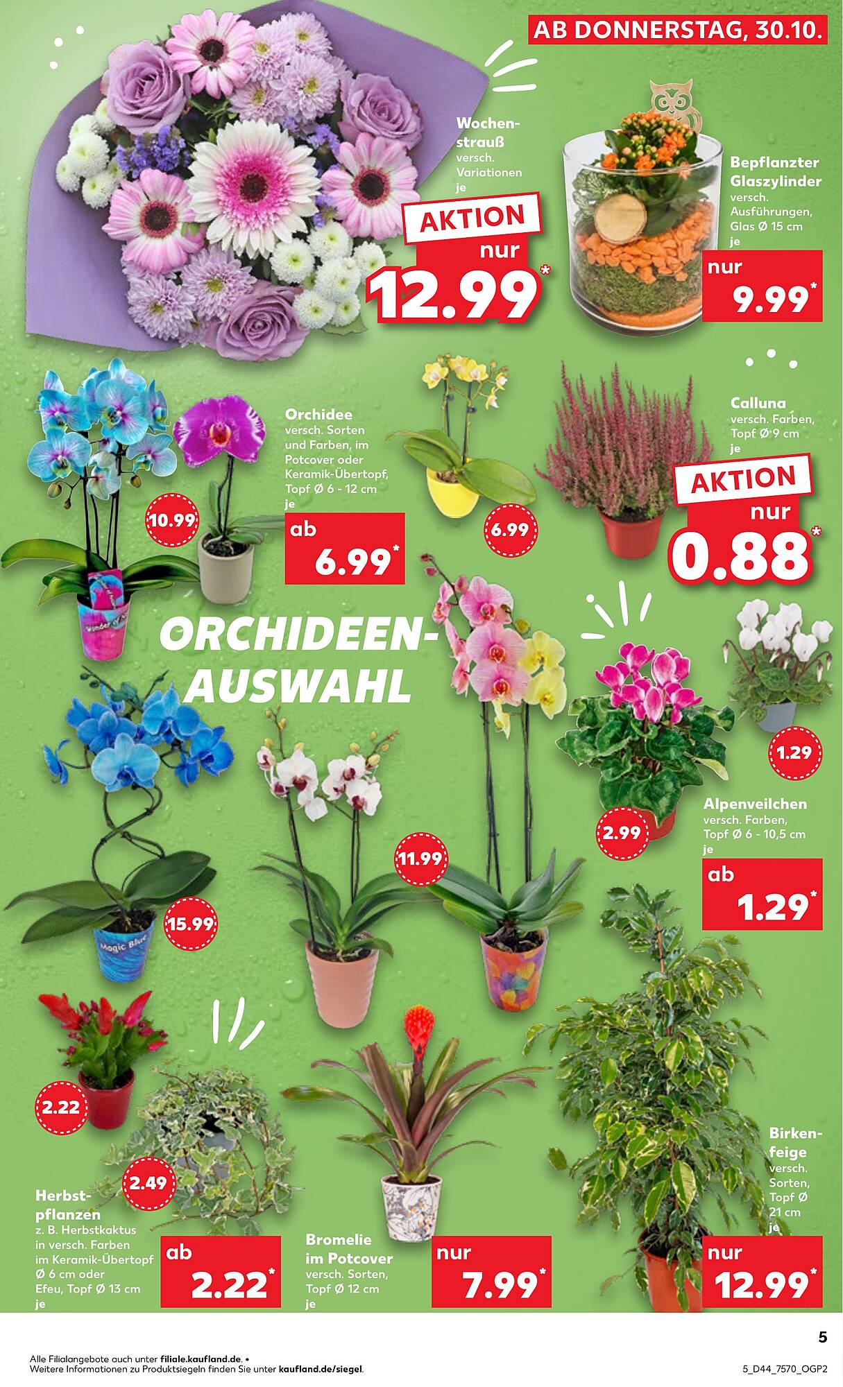 Kaufland Prospekt - Pagina 5