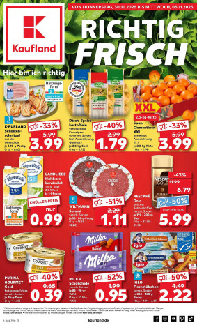 Kaufland Prospekt