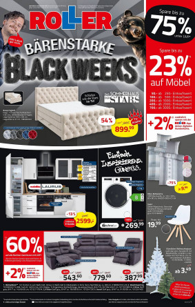 ROLLER Prospekt