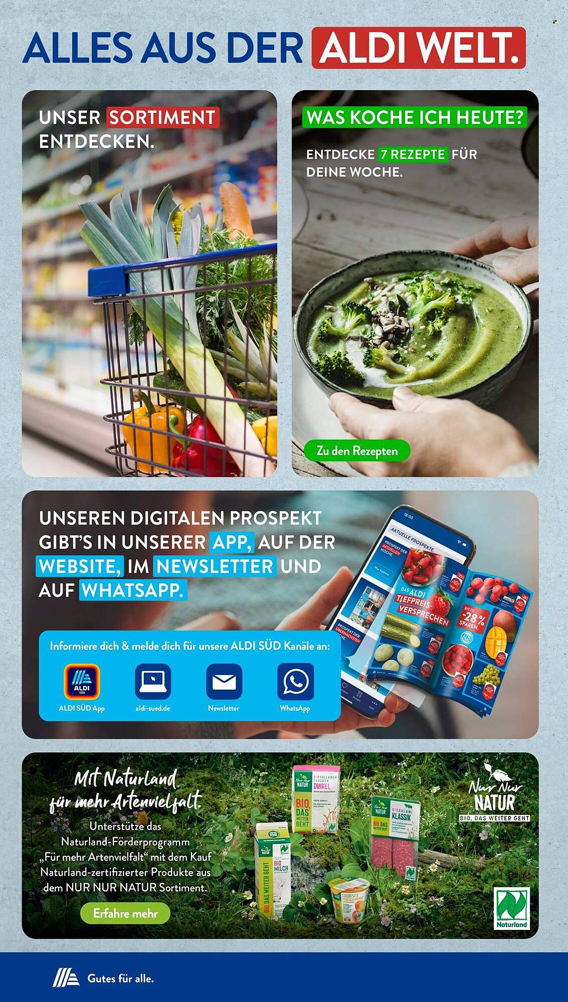 Aldi Süd Prospekt - Pagina 39
