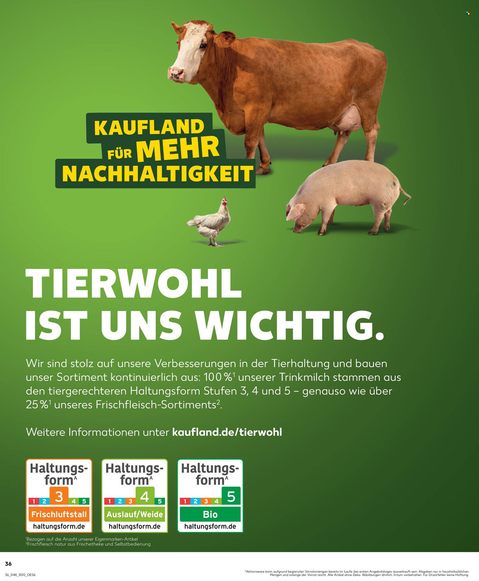 Kaufland Prospekt - Pagina 36