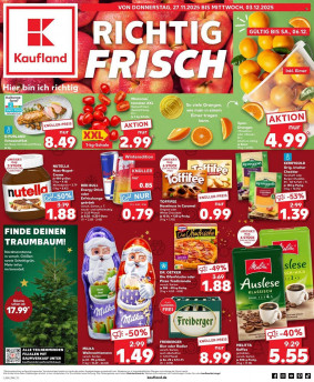 Kaufland Prospekt