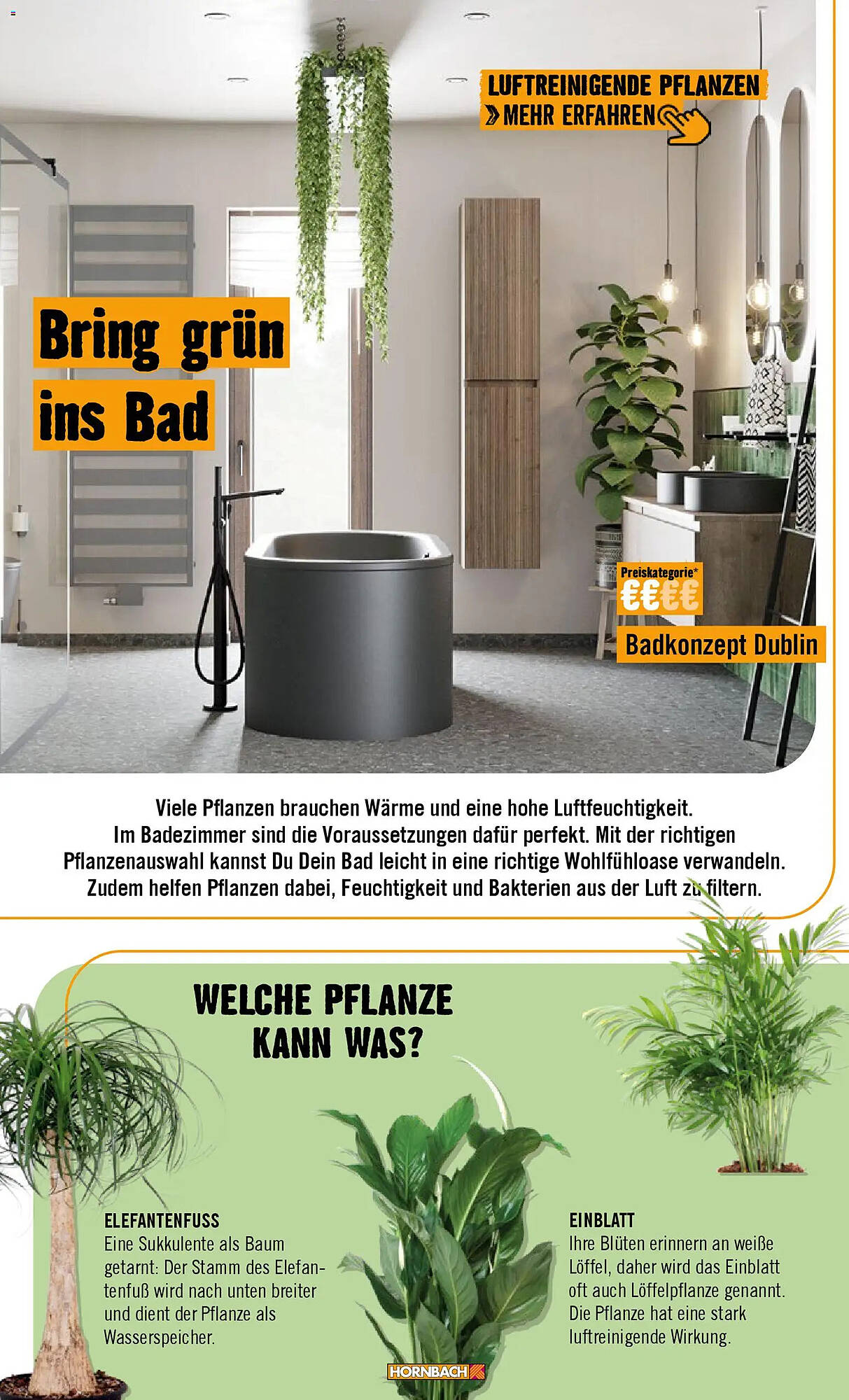 Hornbach Prospekt - Pagina 66