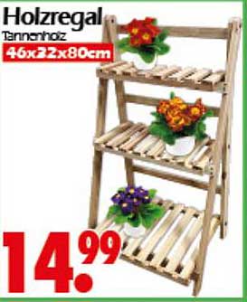 Holzregal Tannenholz 46x22x80cm