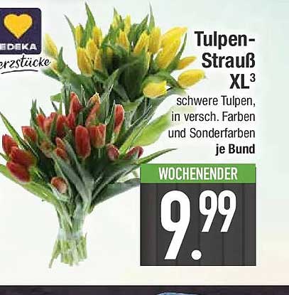 Tulpen-Strauß XL³ schwere Tulpen, in versch. Farben und Sonderfarben je Bund