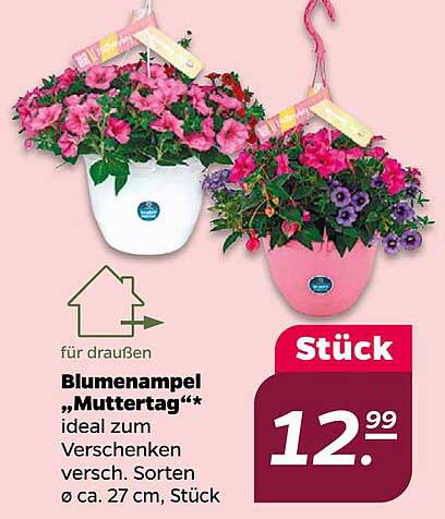 Blumenampel „Muttertag“*