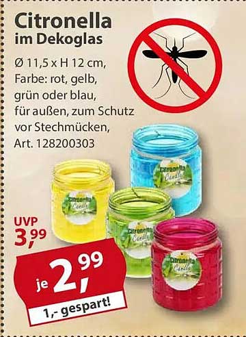 Citronella im Dekoglas - Farbe: rot, gelb, grün oder blau