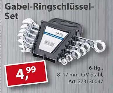 Gabel-Ringschlüssel-Set 6-tlg.