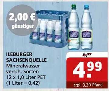ILEBURGER SACHSENQUELLE Mineralwasser 12 x 1,0 Liter PET