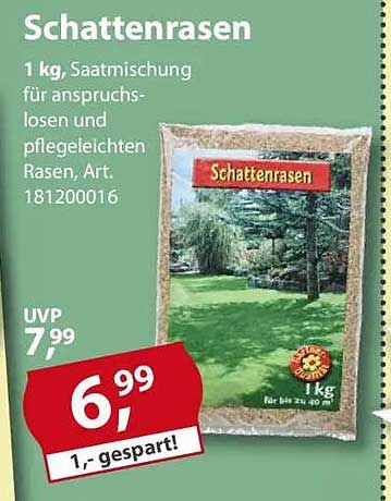 Schattenrasen - Saatmischung für anspruchslose und pflegeleichte Rasen