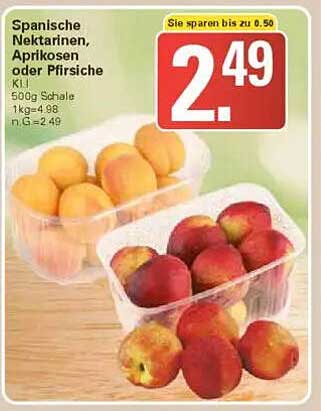 Spanische Nektarinen, Aprikosen oder Pfirsiche 500g Schale