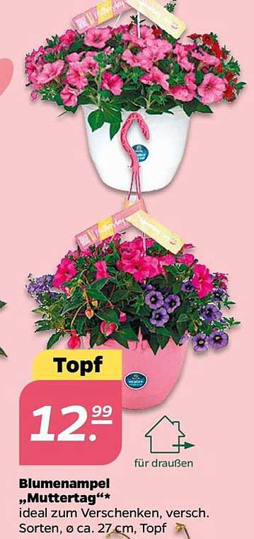 Blumenampel „Muttertag“*