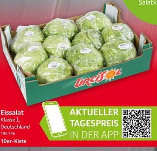 Eissalat Klasse I – Frisch und knackig in der 10er-Kiste