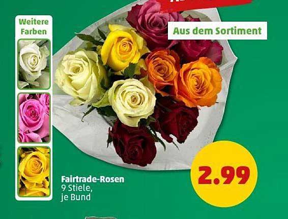 Fairtrade-Rosen, 9 Stiele, je Bund