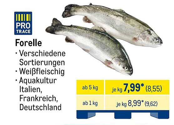 Forelle - Verschiedene Sortierungen, Weißfleischig aus Aquakultur