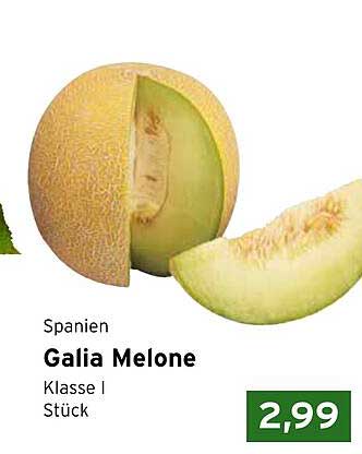 Galia Melone aus Spanien - Klasse I Stück
