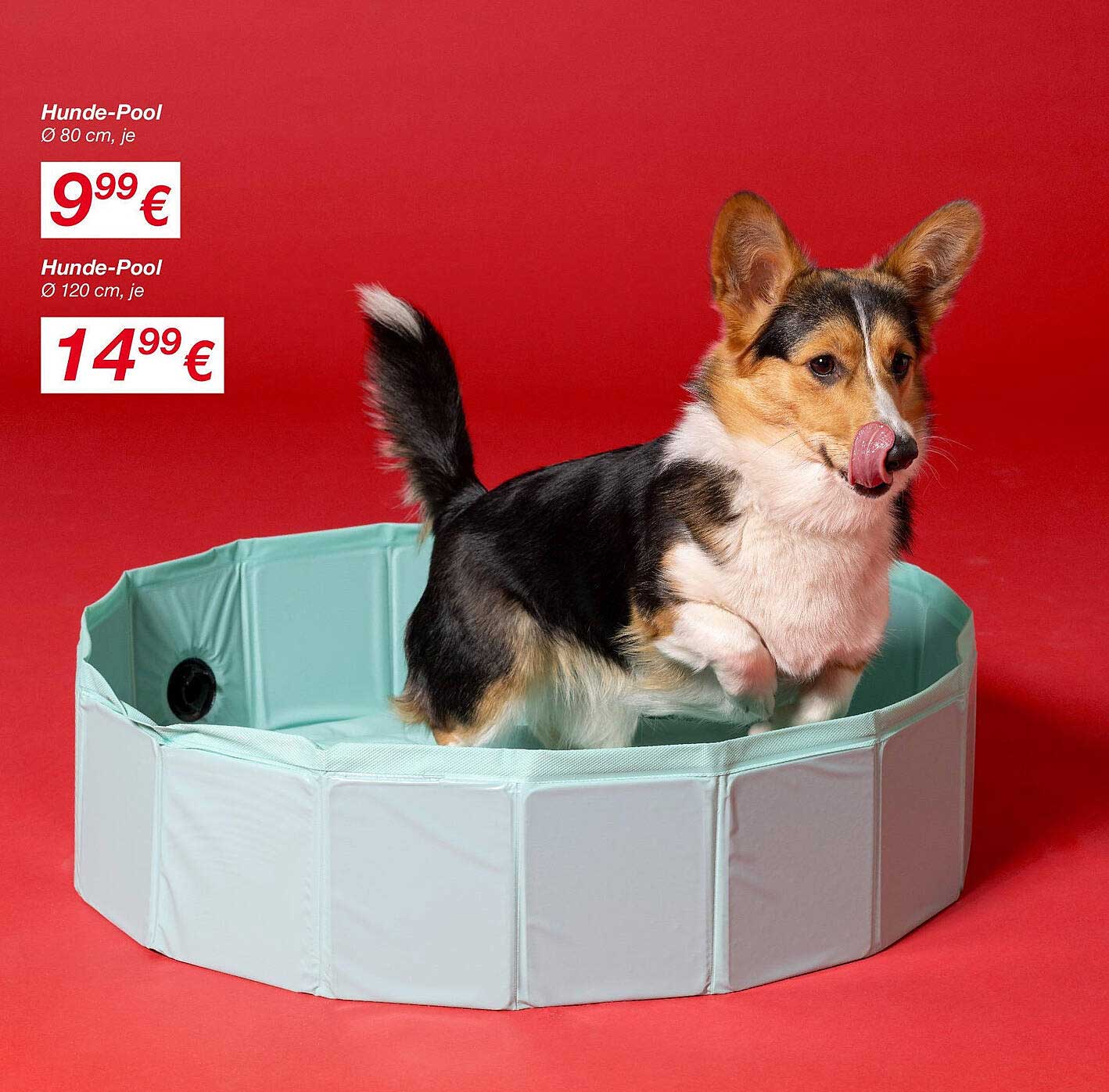 Hunde-Pool Ø 80 cm für nur 9,99 € und Ø 120 cm für nur 14,99 €