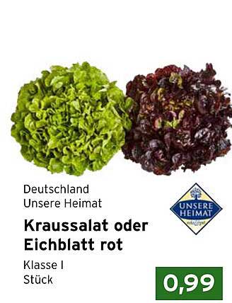 Kraussalat oder Eichblatt rot - Klasse I, Stück