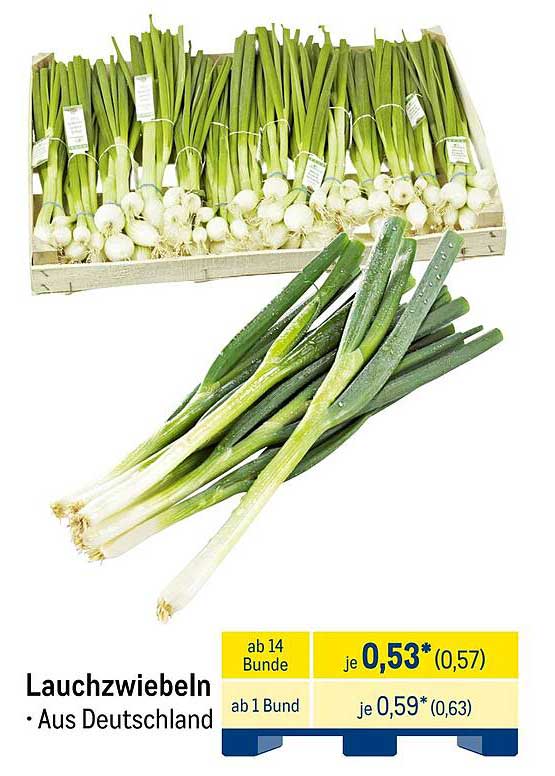 Lauchzwiebeln aus Deutschland