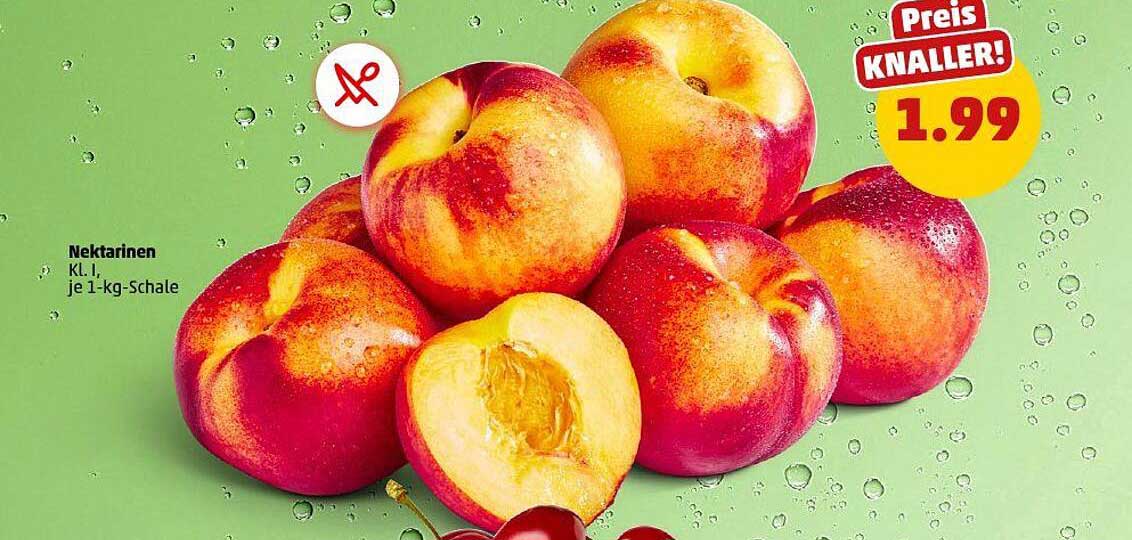 Nektarinen K.L. I, je 1-kg-Schale