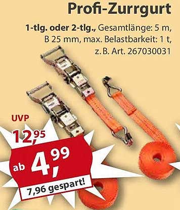 Profi-Zurrgurt 1-tlg. oder 2-tlg., Gesamtlänge: 5 m, B 25 mm
