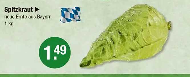 Spitzkraut – neue Ernte aus Bayern, 1 kg