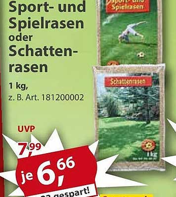 Sport- und Spielrasen oder Schattenrasen 1 kg