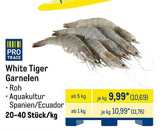 White Tiger Garnelen - Roh aus Aquakultur