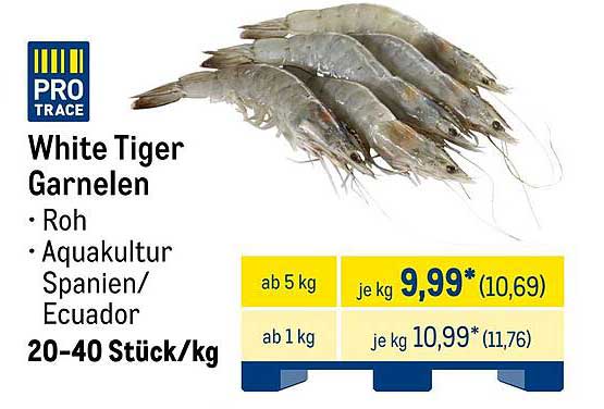 White Tiger Garnelen - Roh aus Aquakultur