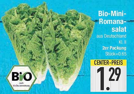 Bio-Mini-Romansalat aus Deutschland Kl. II 2er Packung