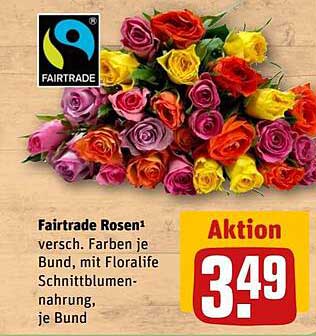 Fairtrade Rosen - versch. Farben je Bund