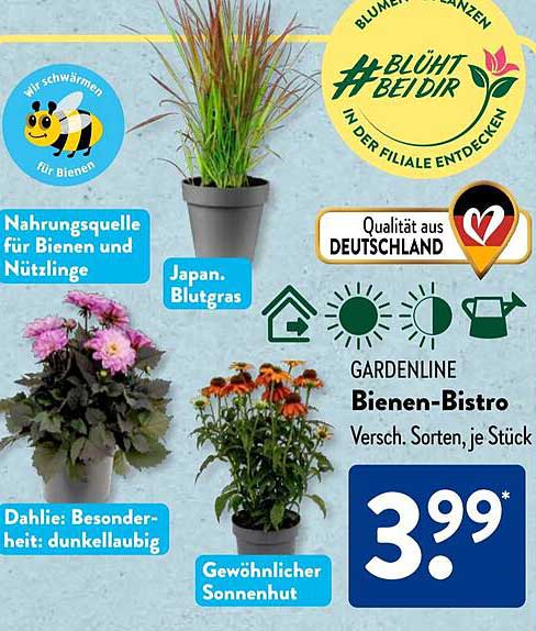 GARDENLINE Bienen-Bistro - Verschiedene Sorten, je Stück