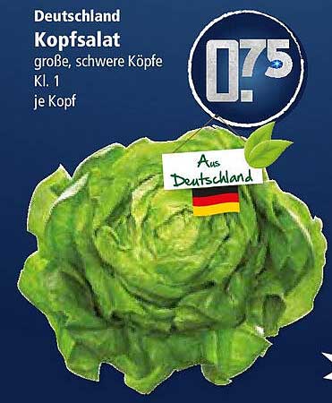 Kopfsalat große, schwere Köpfe Kl. 1 je Kopf