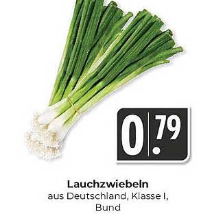 Lauchzwiebeln aus Deutschland, Klasse I, Bund