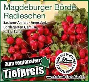 Magdeburger Börde Radieschen
